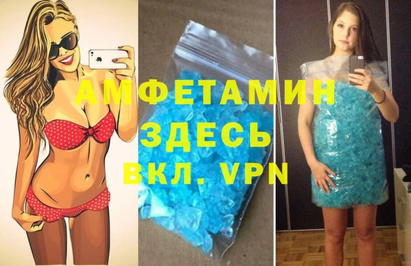 ешки Алексин