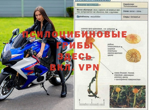 таблы Алексеевка
