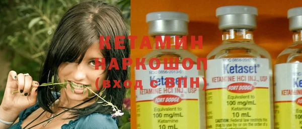 ешки Алексин