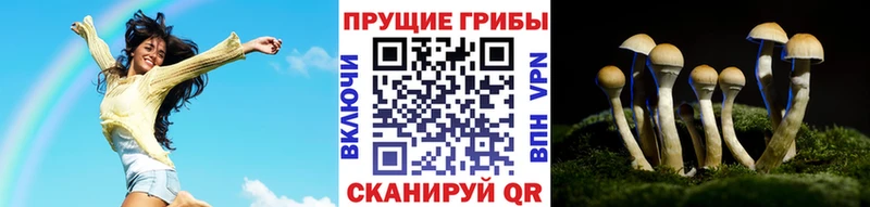Псилоцибиновые грибы прущие грибы Искитим